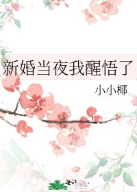 新婚當夜我醒悟了